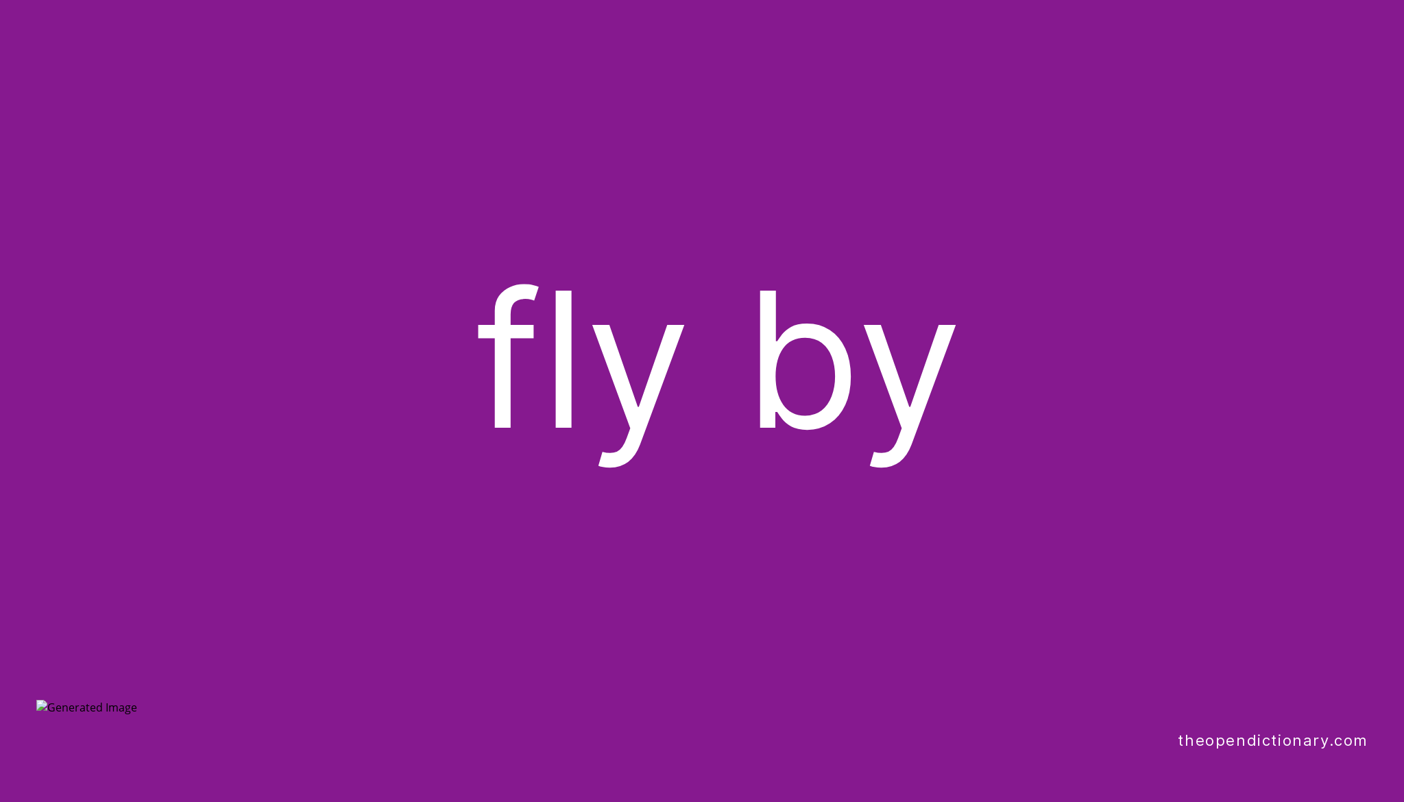 fly by visit meaning